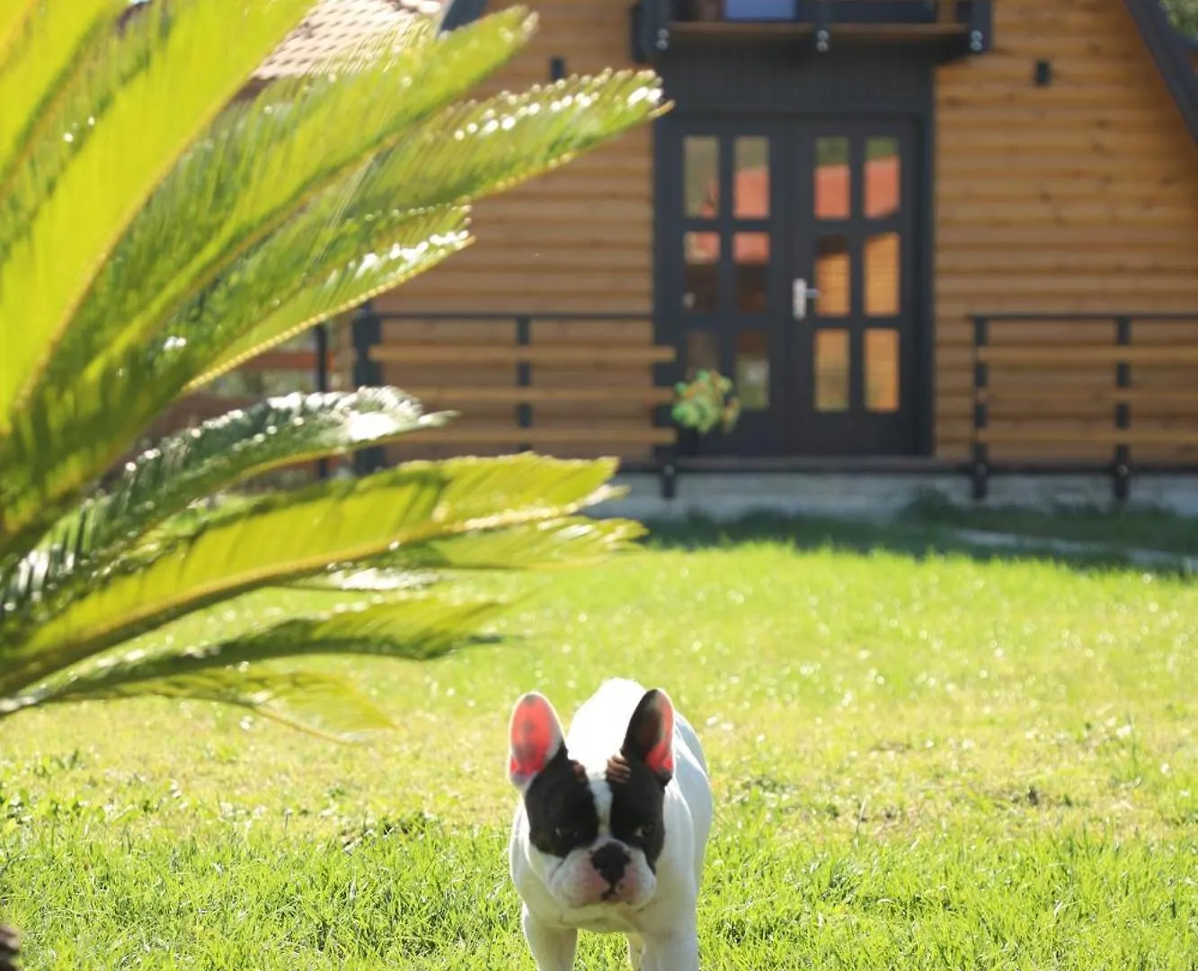 Sancho Farm Albania Villa Memaliaj