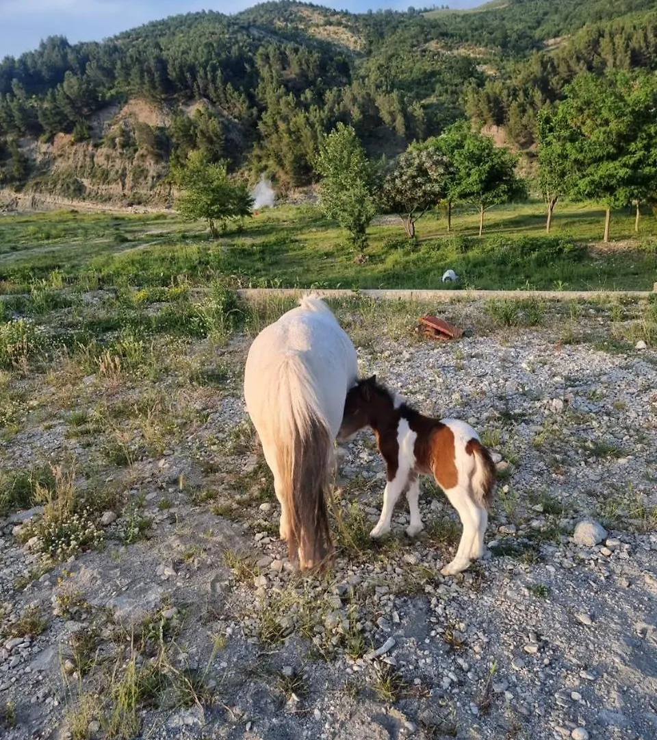 Sancho Farm Albania Villa Memaliaj Albania