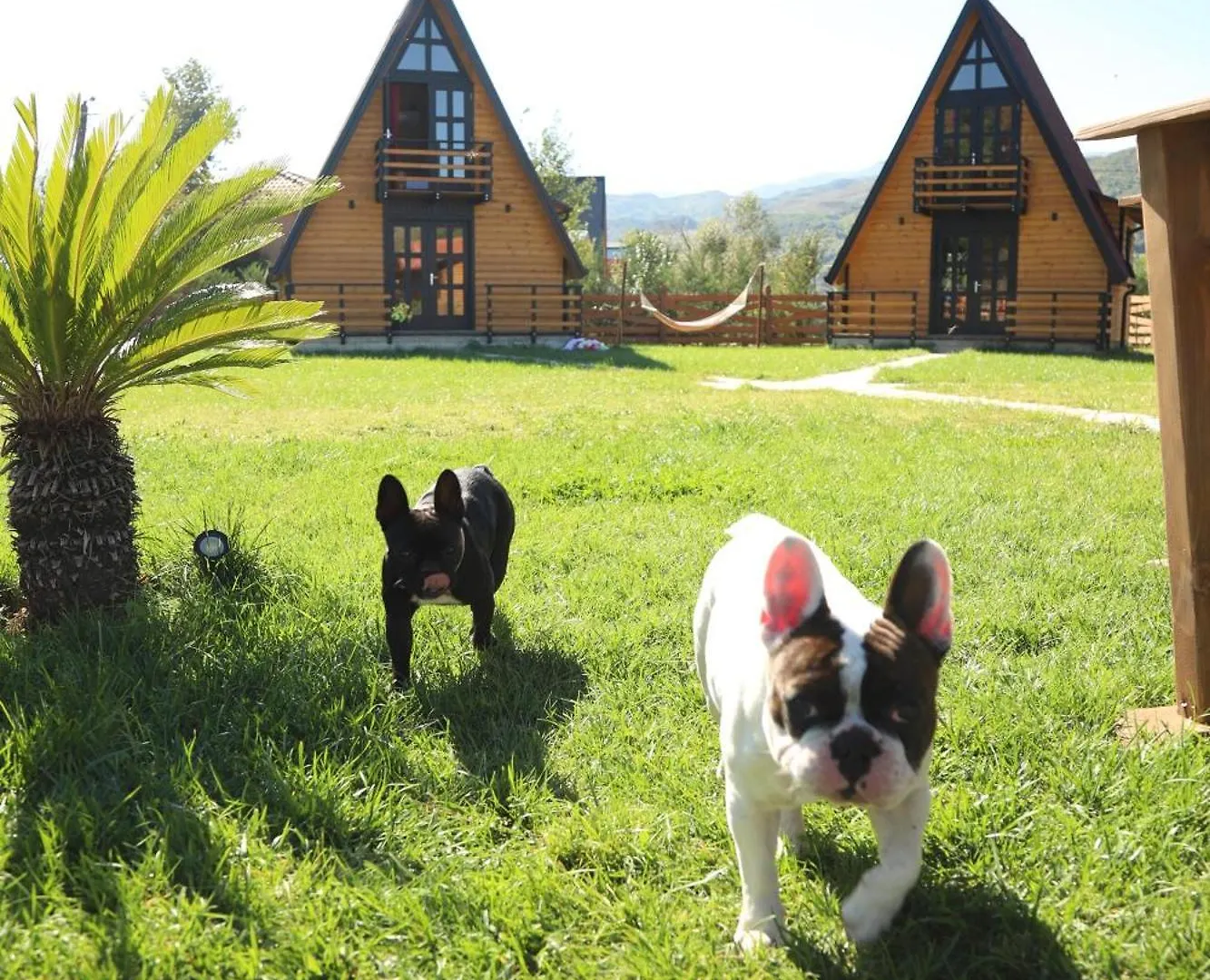 Sancho Farm Albania Villa Memaliaj