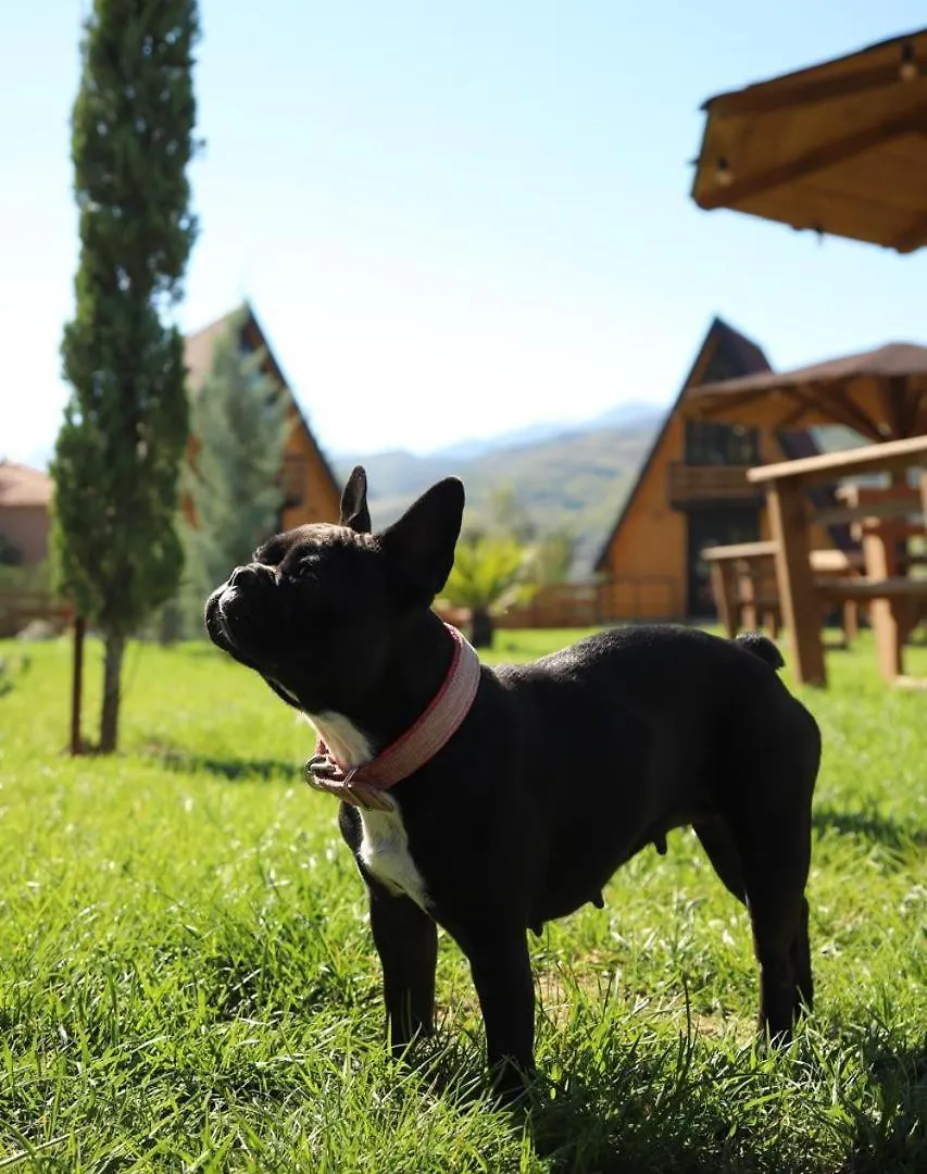 Sancho Farm Albania Villa Memaliaj